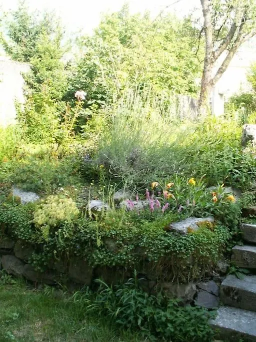 Magnifique Maison De Maitre Du 18E Avec Jardin Luz-Saint-Sauveur